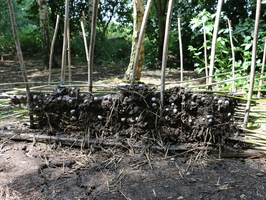 Stone Age Survival (KS2)