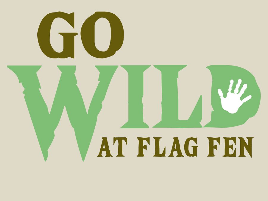 Go Wild at Flag Fen - Summer Forest School