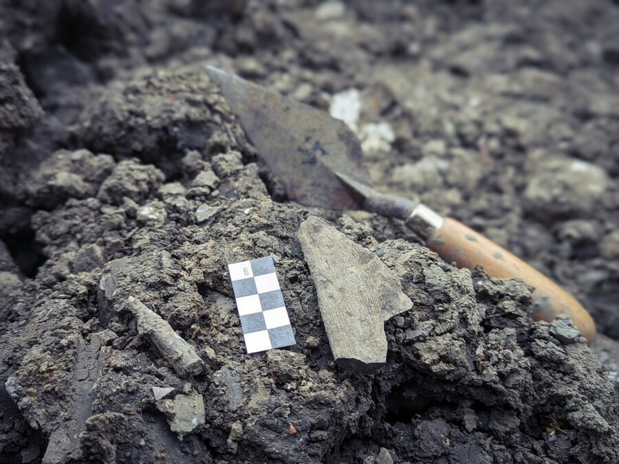 Big Fossil Dig (KS2)