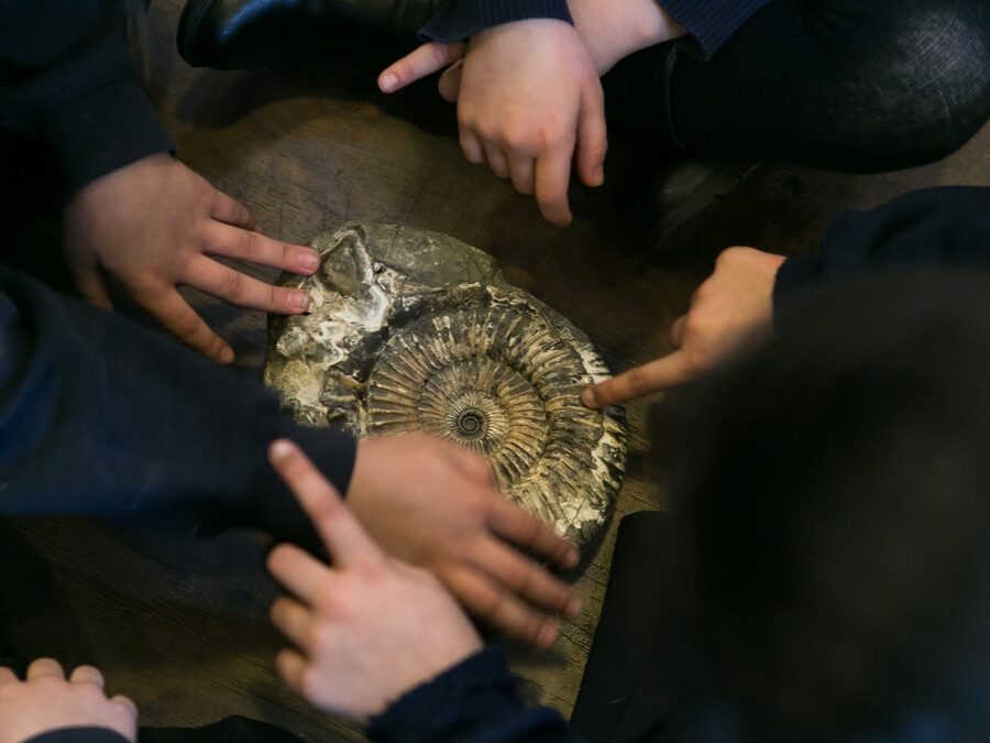 Jurassic Explorers (EYFS)