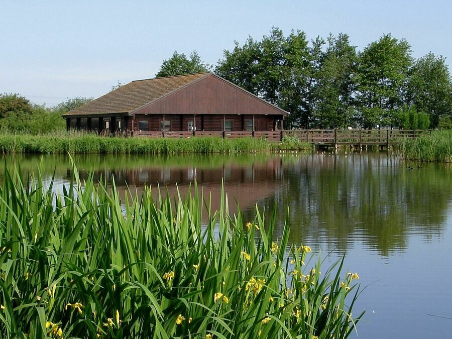 'Who Lives Here?' Living things and their habitats (KS1)